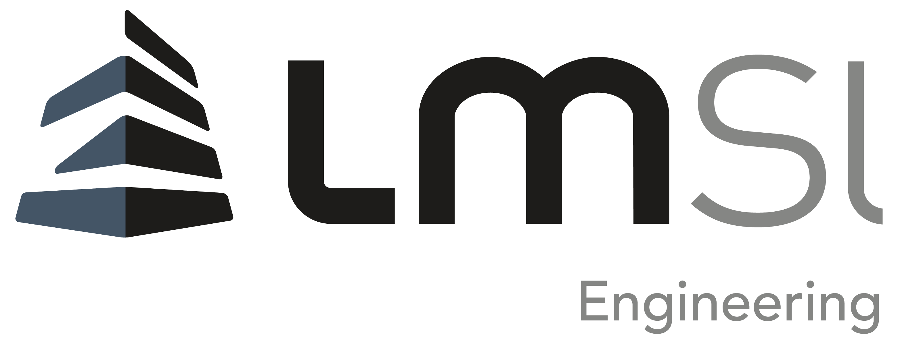 Logo_LMSI EN